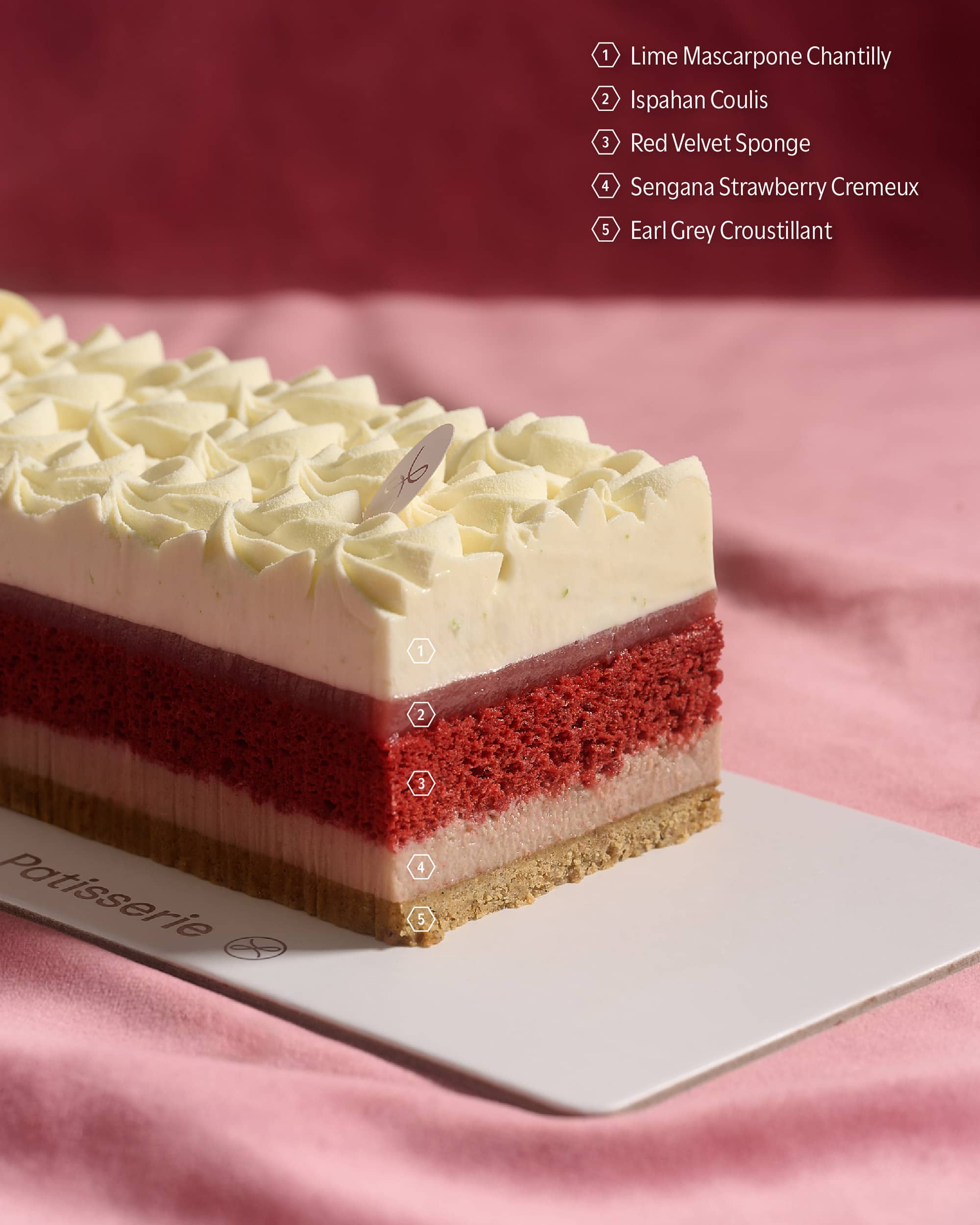2024 Christmas Log Cake — Sunlit Velvet