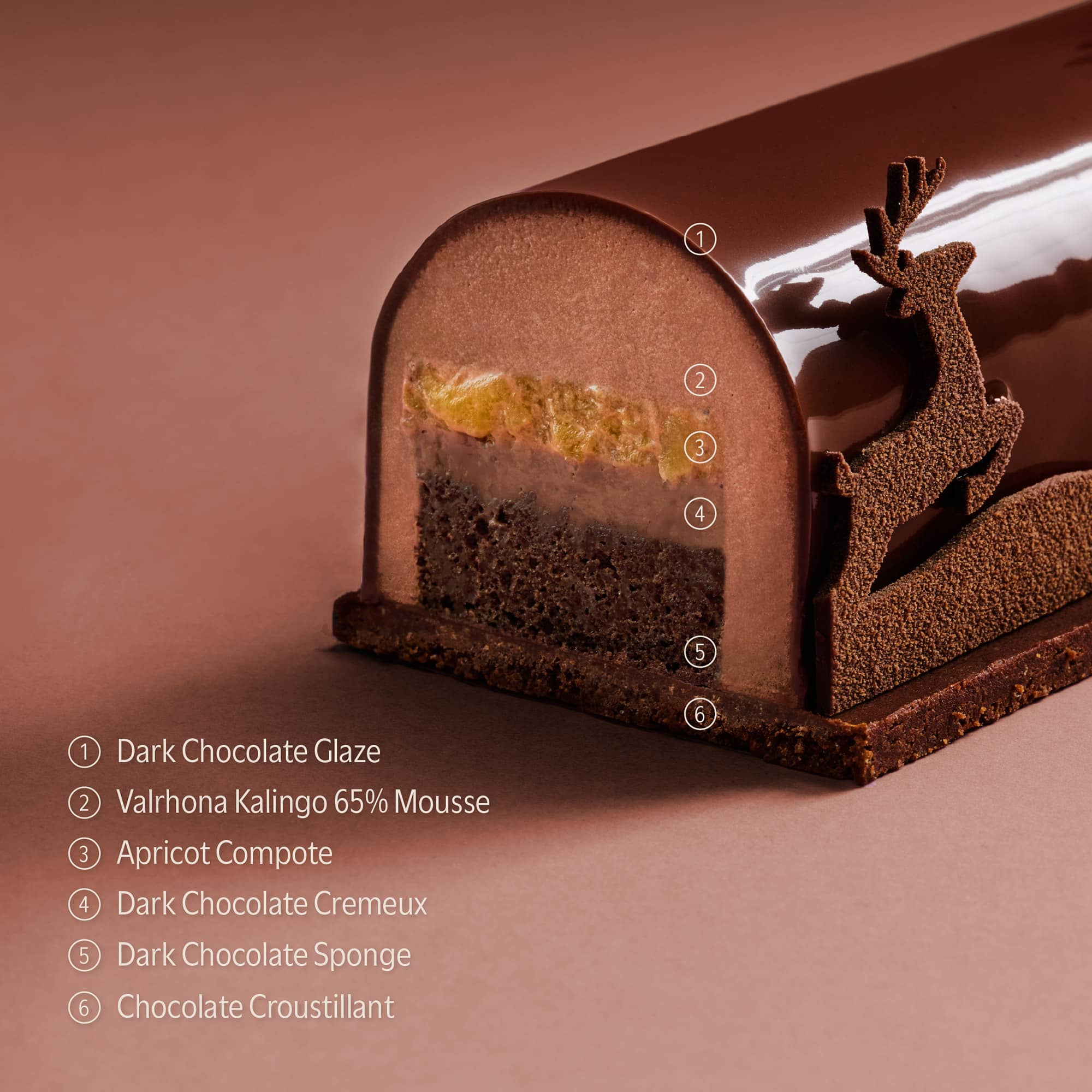 The inside chocolate, apricot, sponge and base layers of this year's Christmas log cake coated in chocolate glaze