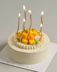 Curvy Birthday Candle Set (6pcs)