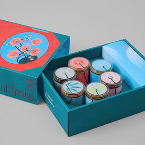 2023 Chinese New Year Cookies Set - Spring Blossoms (L)