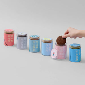 2023 Chinese New Year Cookies Set - Spring Blossoms (L)