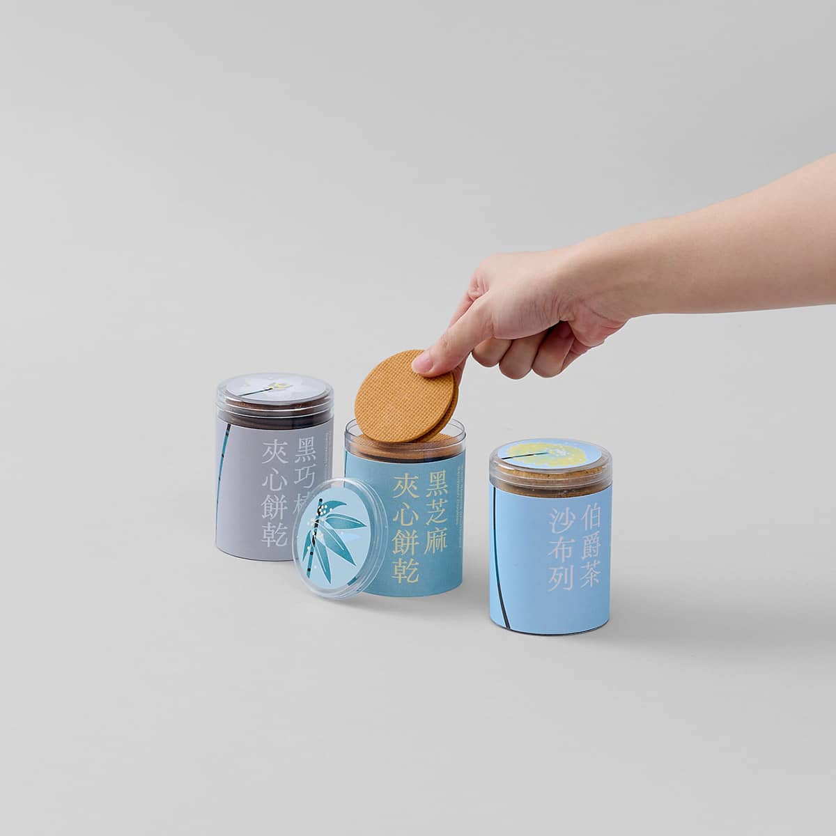 2023 Chinese New Year Cookies Set - Spring Blossoms (S)
